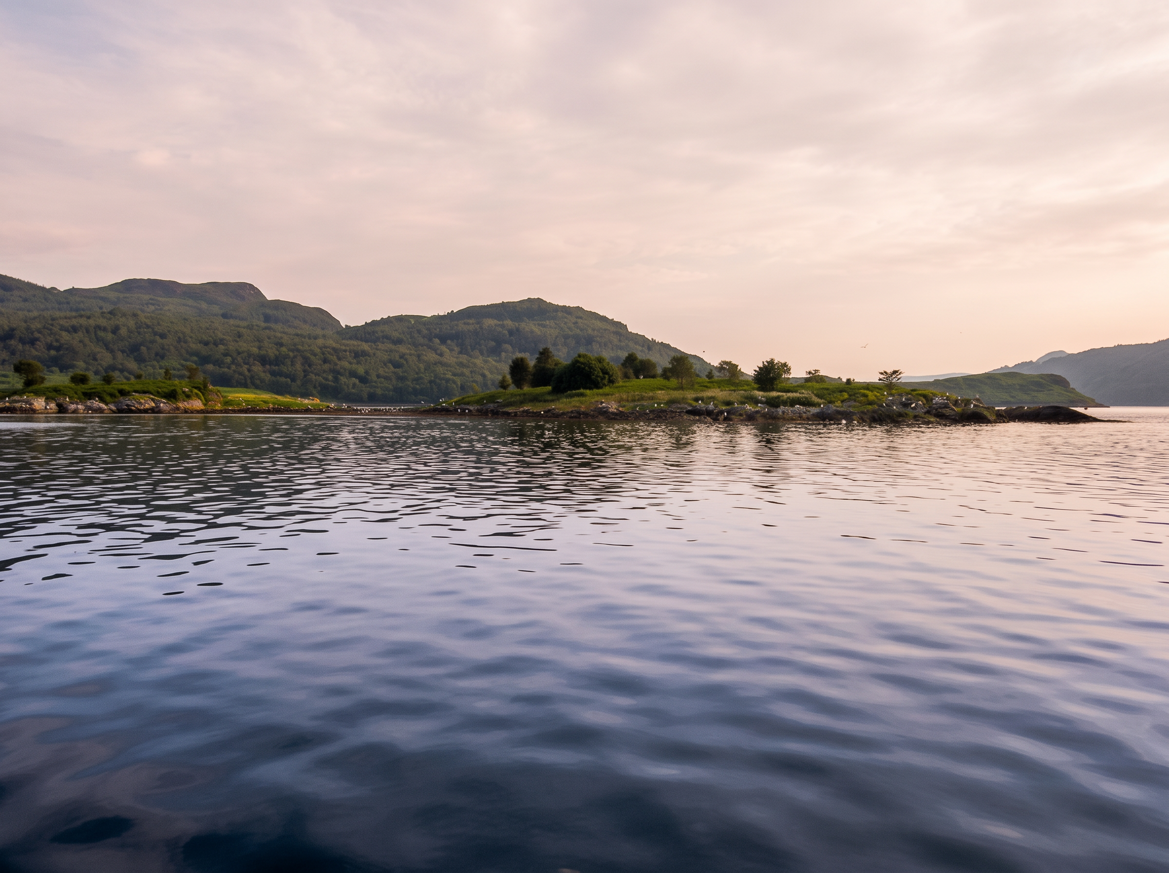 Buttock Point at the northern tip of Bute in soft evening light over the Kyles