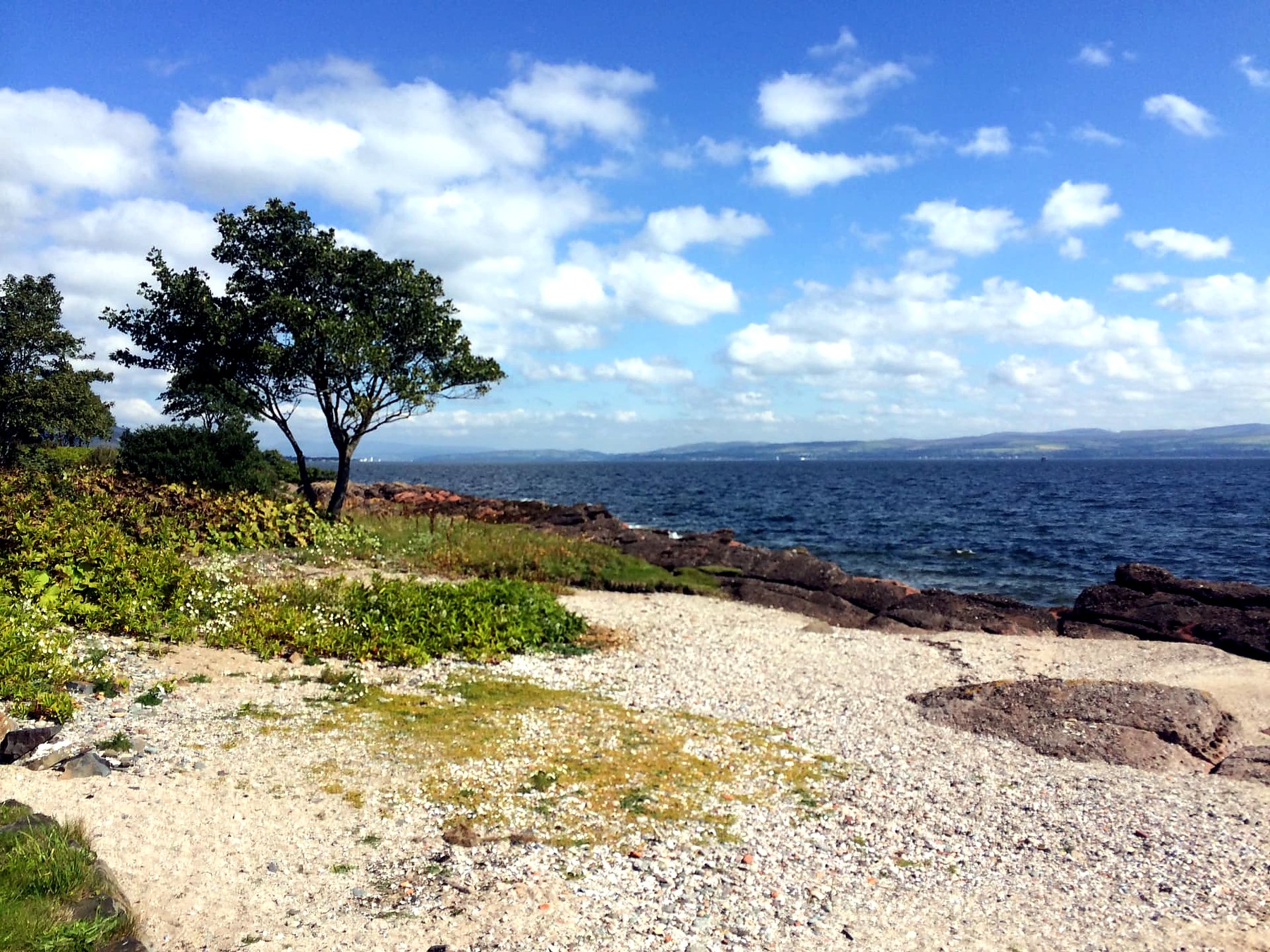 Lone wind-shaped tree above a shingle beach on the east coast of the Isle of Bute