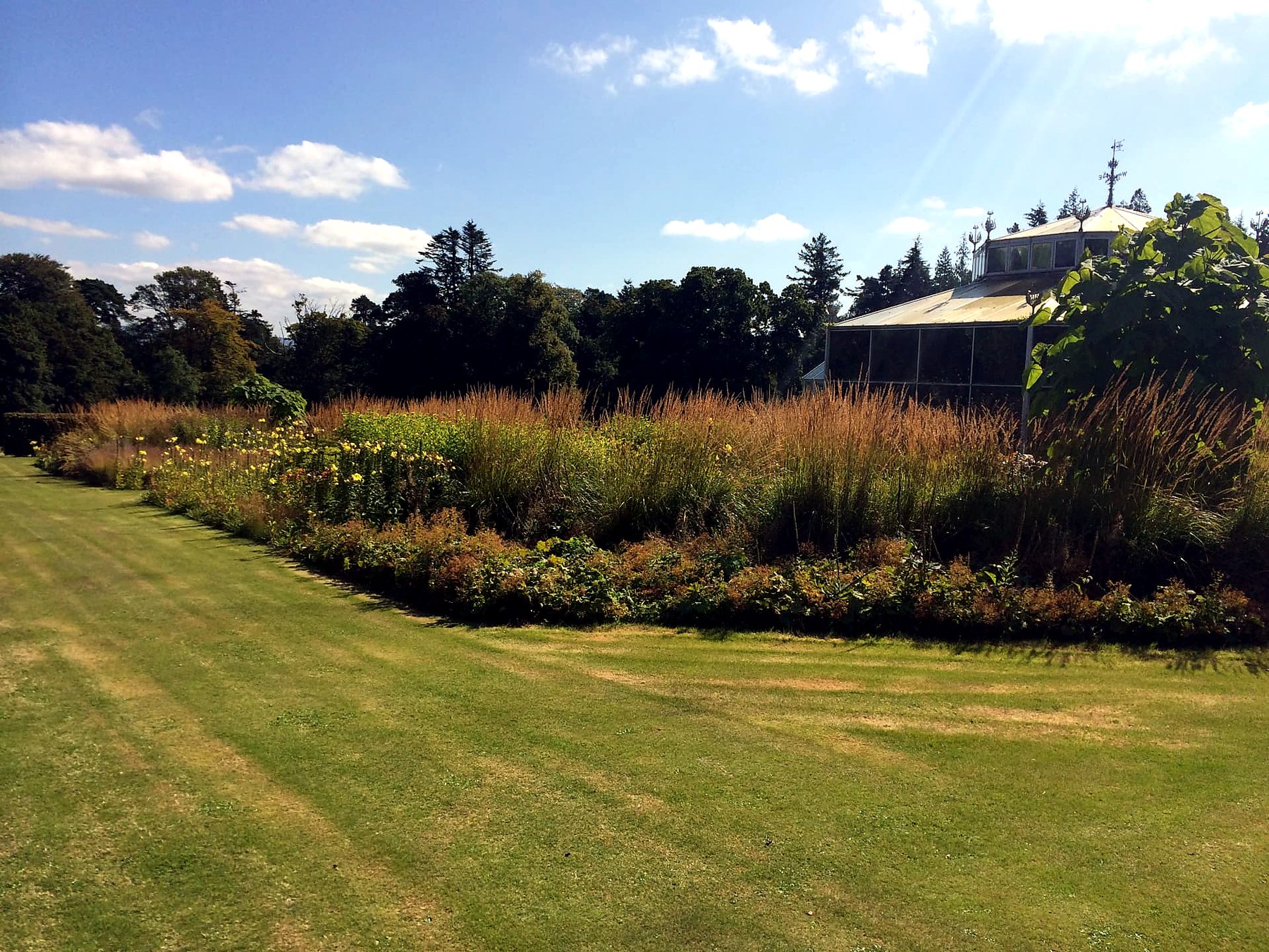 Late-summer grasses and perennial borders beside the Victorian glasshouse at Mount Stuart, Isle of Bute