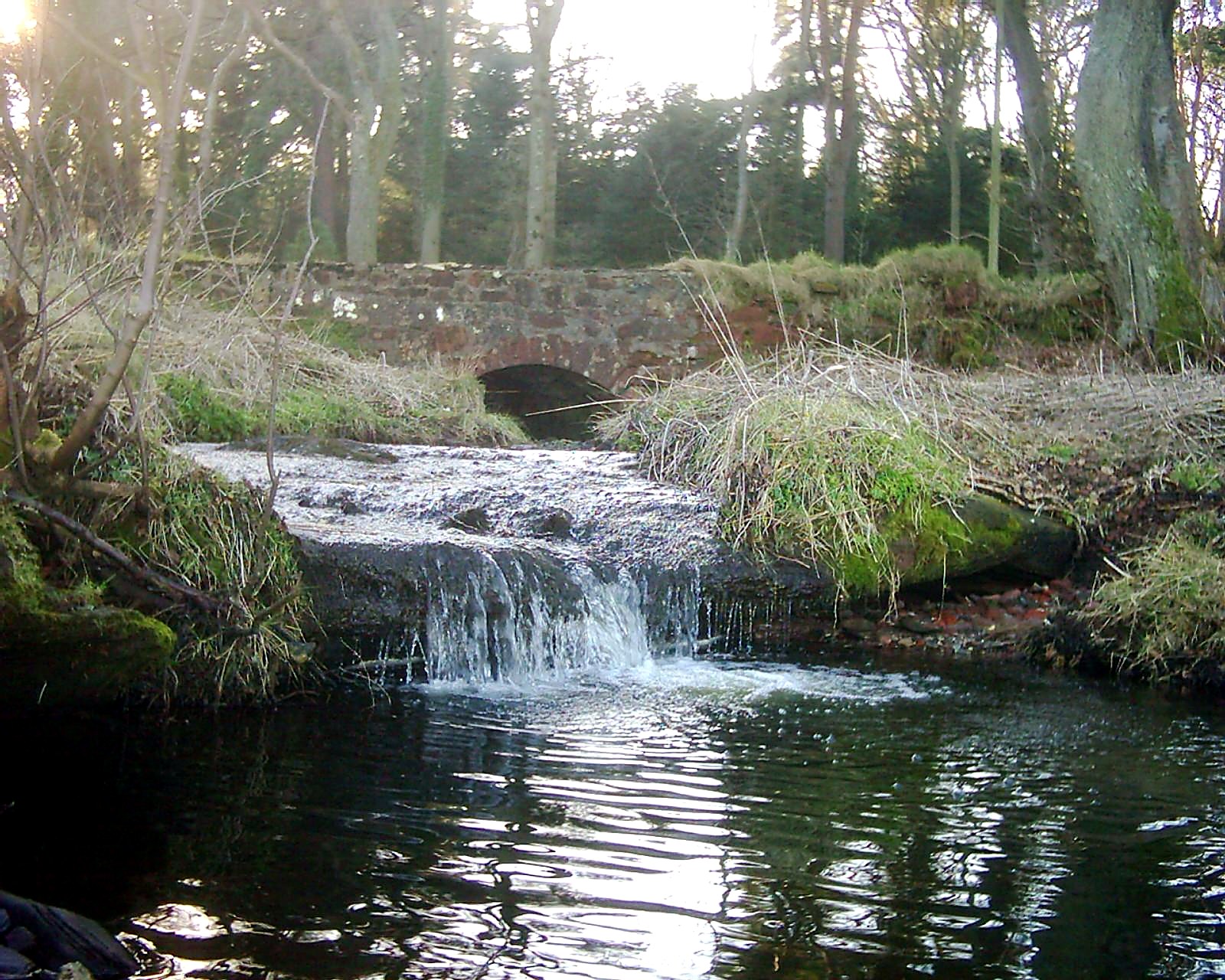 Small waterfall on a wooded burn beside an old sandstone bridge on the Isle of Bute