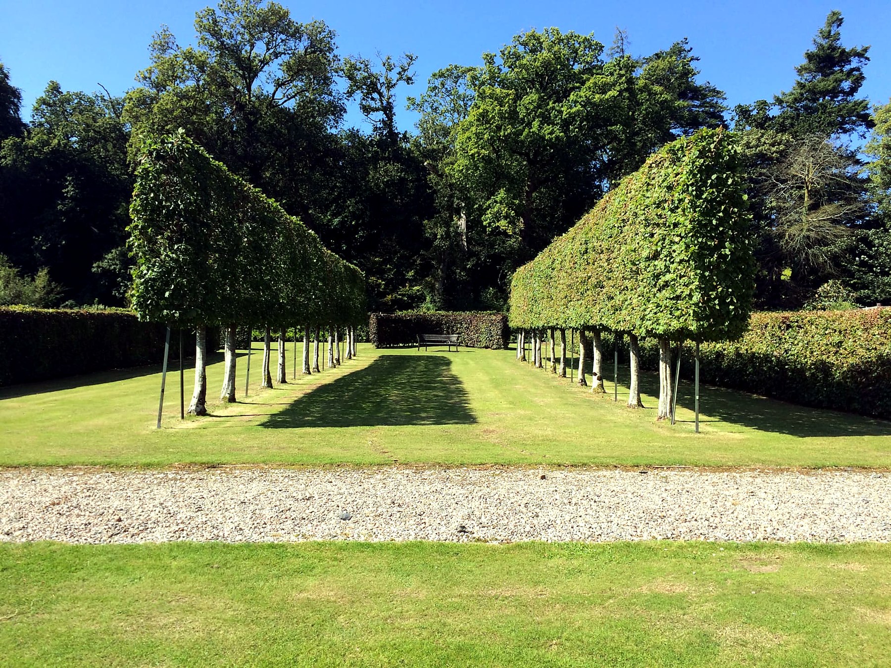 Avenue of pleached lime trees in the formal gardens at Mount Stuart, Isle of Bute