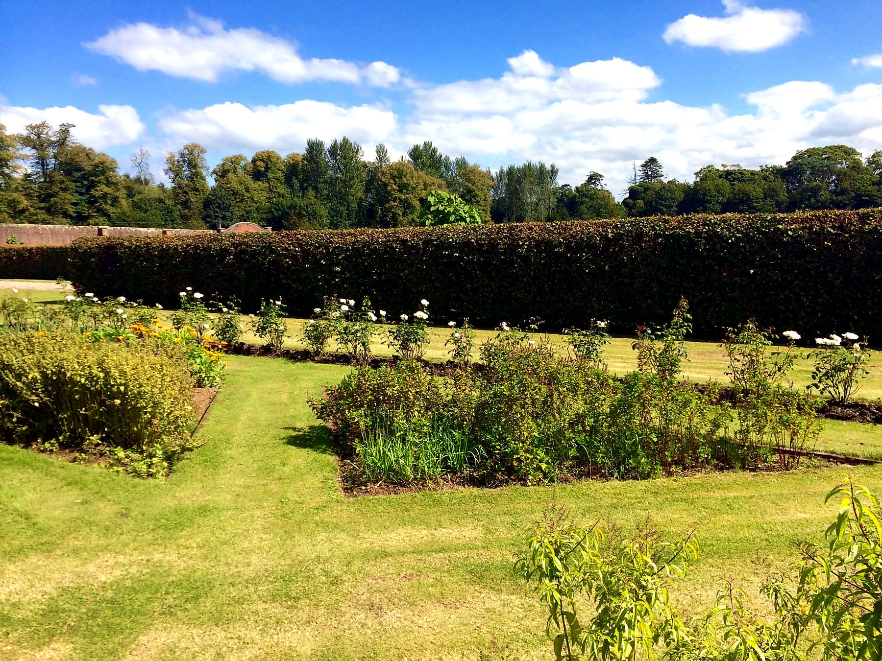 Rose beds inside the walled garden at Mount Stuart, Isle of Bute